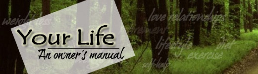 Your Life – an Owner's Manual